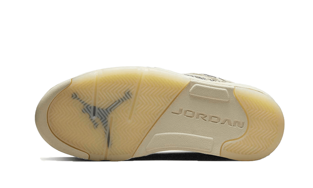 air-jordan-5-low-expression-ddd5b9-3