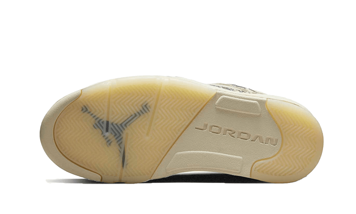 air-jordan-5-low-expression-ddd5b9-3