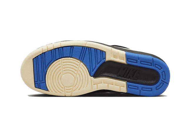 air-jordan-2-retro-low-varsity-royal-ddd5b9-3