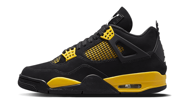 air-jordan-4-retro-thunder-2023-ddd5b9-3