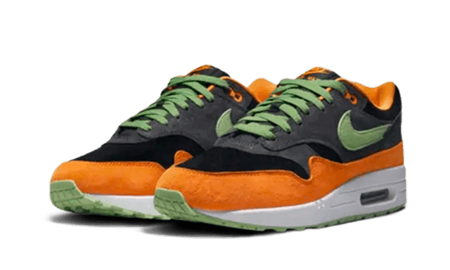 air-max-1-prm-duck-anthracite-ddd5b9-3
