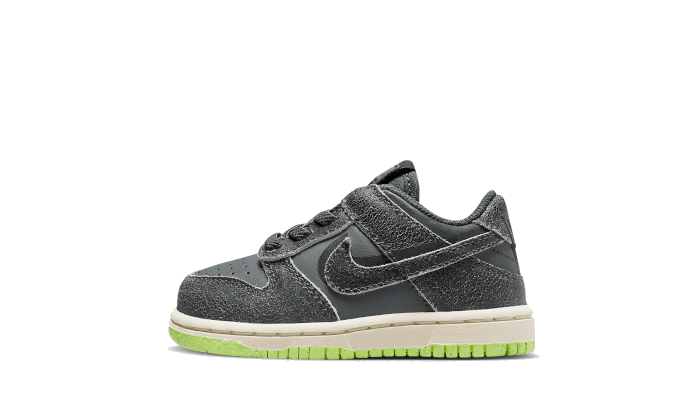 dunk-low-swoosh-shadow-iron-grey-bb-td-ddd5b9-3