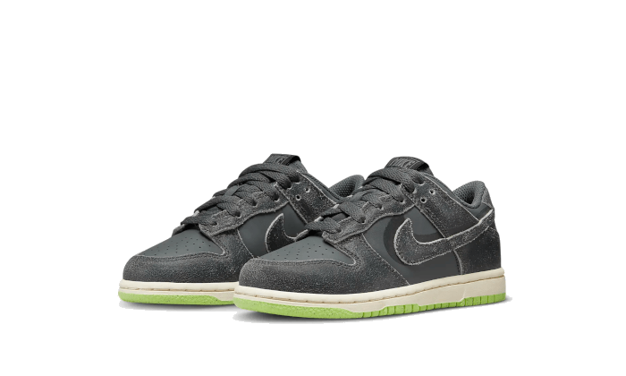 dunk-low-swoosh-shadow-iron-grey-enfant-ps-ddd5b9-3