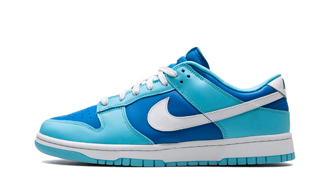 dunk-low-argon-ddd5b9-3