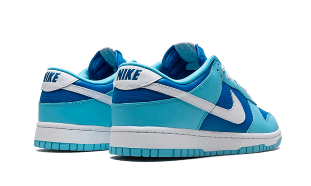 dunk-low-argon-ddd5b9-3