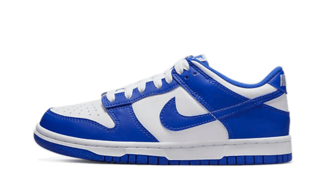 dunk-low-racer-blue-ddd5b9-3