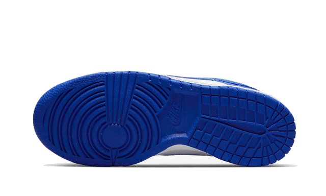dunk-low-racer-blue-ddd5b9-3