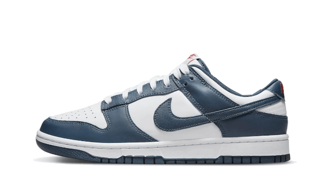 dunk-low-valerian-blue-ddd5b9-3