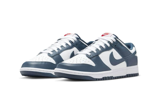 dunk-low-valerian-blue-ddd5b9-3