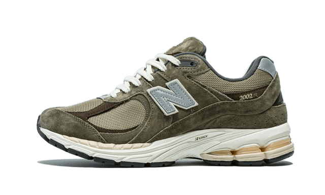 2002r-olive-brown-ddd5b9-3