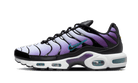 Nike Air Max Plus Reverse Grape - FQ2415-500