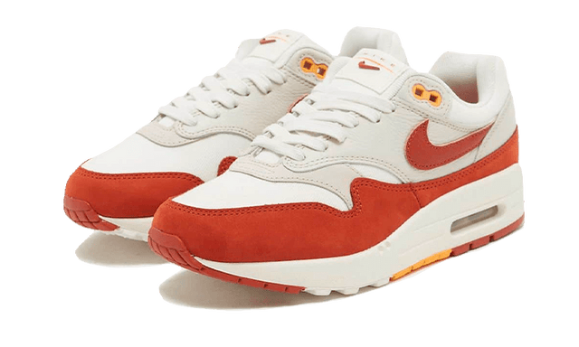 air-max-1-rugged-orange-ddd5b9-3