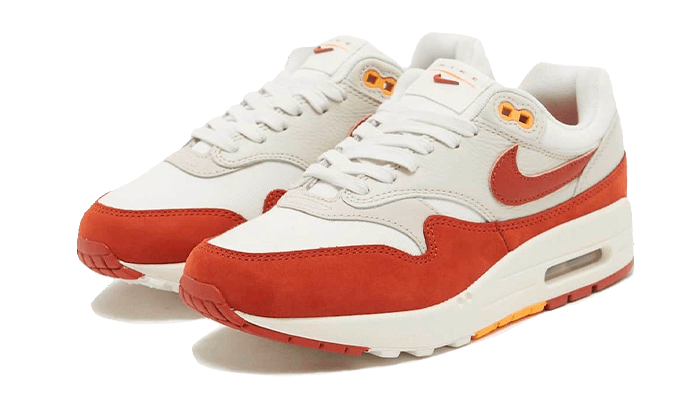 air-max-1-rugged-orange-ddd5b9-3