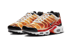 air-max-plus-light-photography-ddd5b9-3