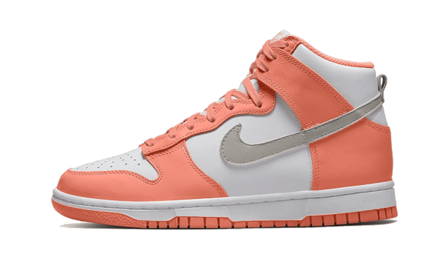 dunk-high-salmon-grey-ddd5b9-3
