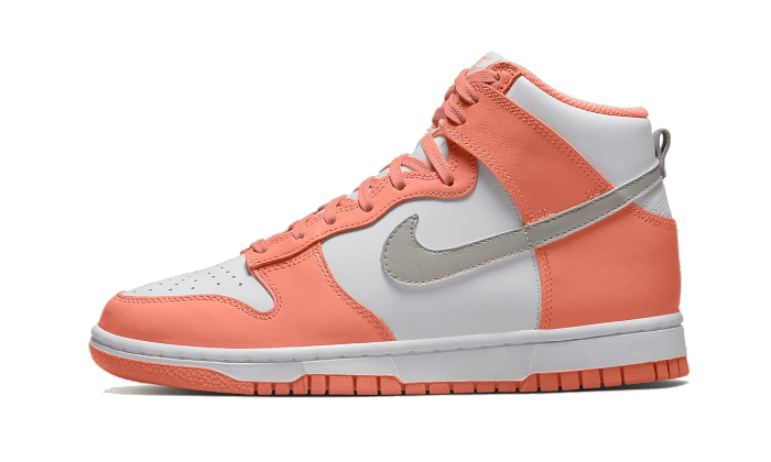 dunk-high-salmon-grey-ddd5b9-3