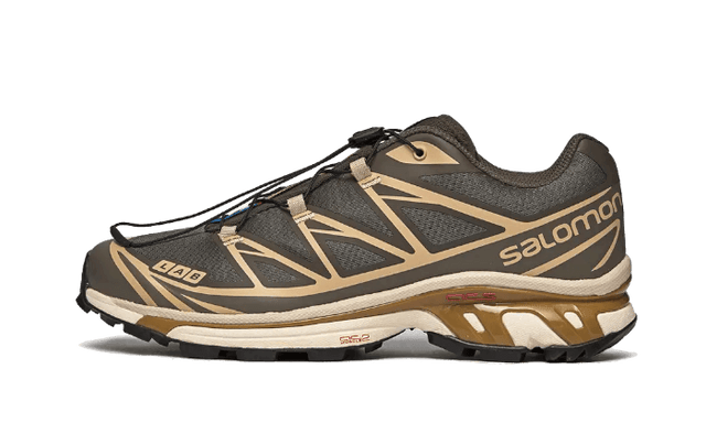 xt-6-beluga-dull-gold-ddd5b9-3