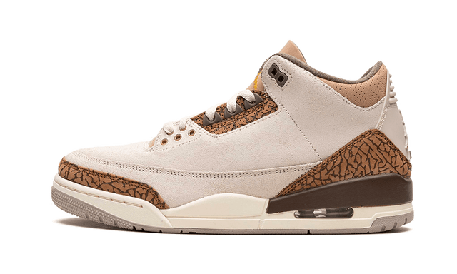 air-jordan-3-palomino-ddd5b9-3