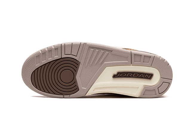 air-jordan-3-palomino-ddd5b9-3