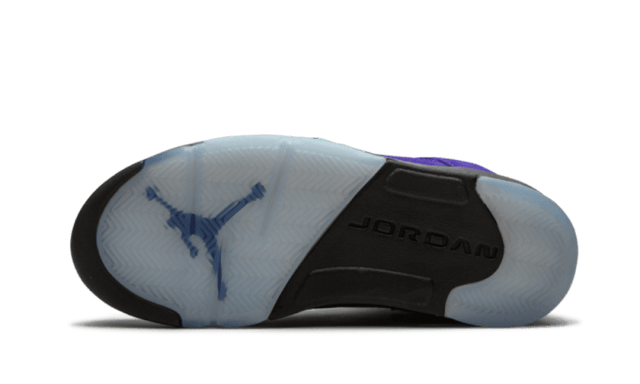 air-jordan-5-retro-alternate-grape-ddd5b9-3