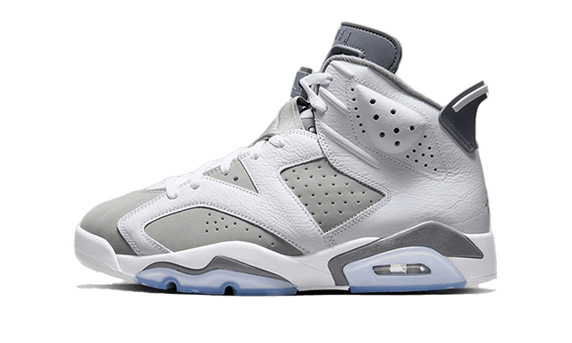 air-jordan-6-cool-grey-ddd5b9-3