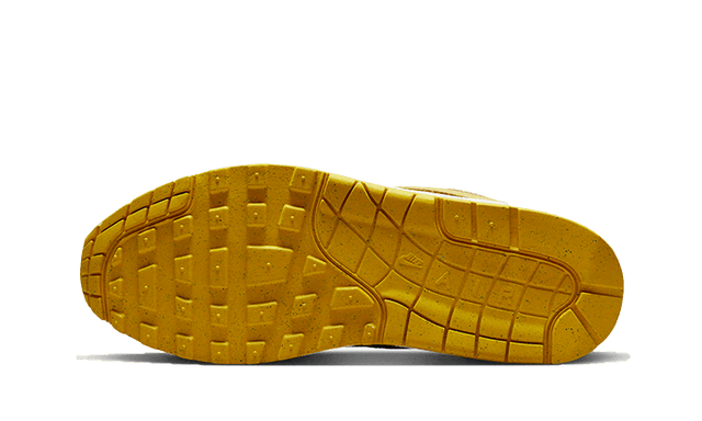 air-max-1-prm-duck-pecan-ddd5b9-3