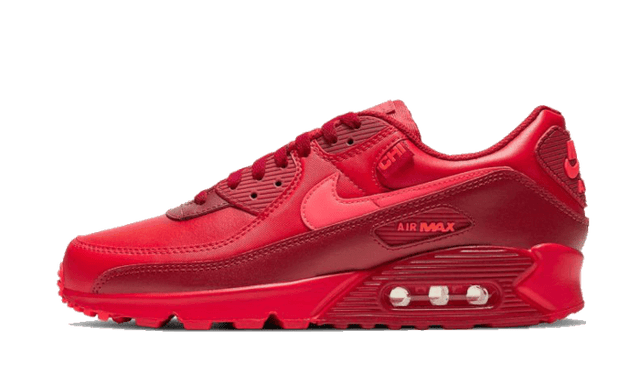 air-max-90-chi-city-special-ddd5b9-3