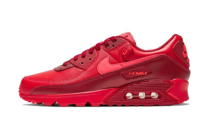 air-max-90-chi-city-special-ddd5b9-3