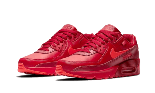 air-max-90-chi-city-special-ddd5b9-3