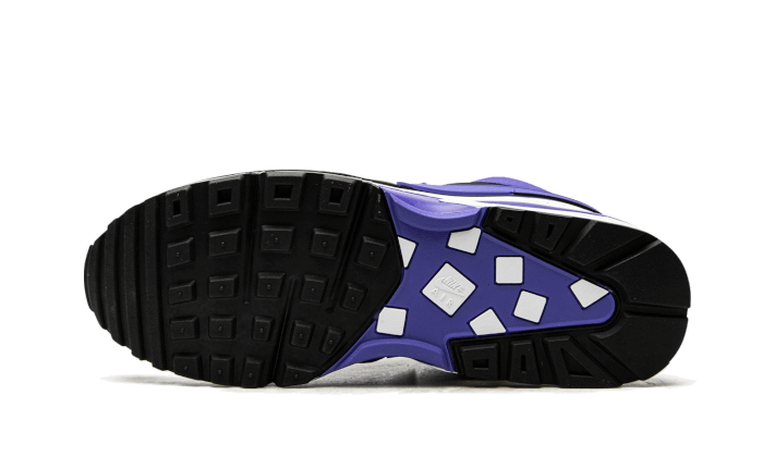 air-max-bw-persian-violet-ddd5b9-3