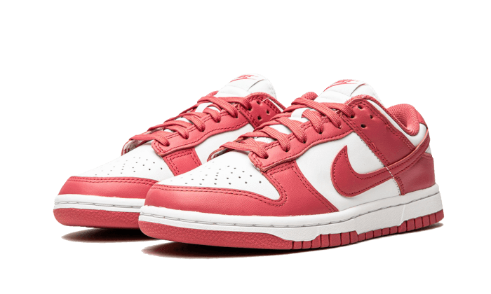 dunk-low-archeo-pink-ddd5b9-3