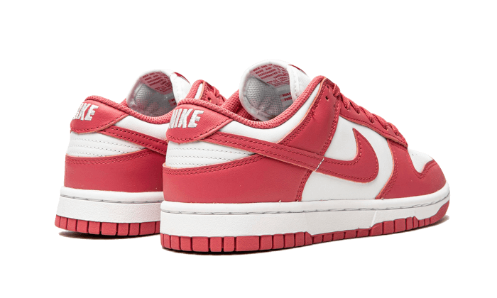 dunk-low-archeo-pink-ddd5b9-3