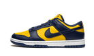 dunk-low-michigan-ddd5b9-3