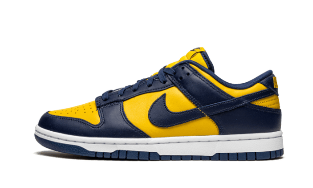 dunk-low-michigan-ddd5b9-3