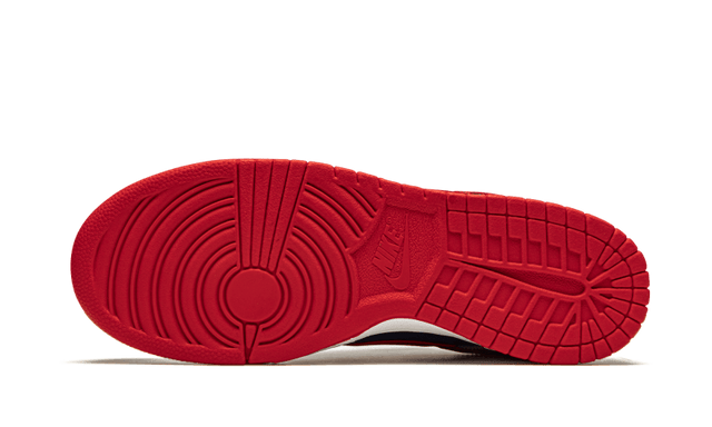 dunk-low-samba-2020-ddd5b9-3