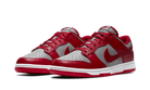 dunk-low-unlv-ddd5b9-3