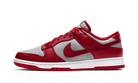 dunk-low-unlv-ddd5b9-3