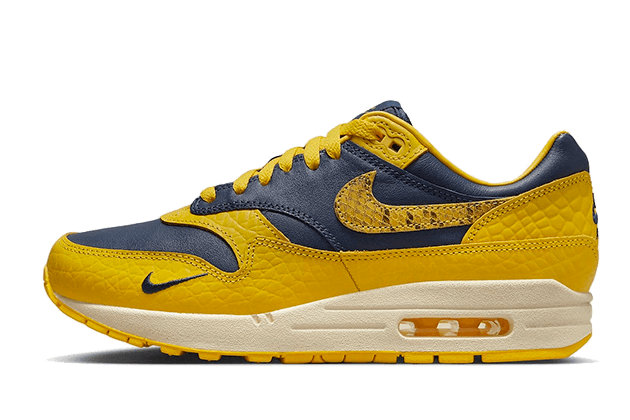 air-max-1-cojp-michigan-ddd5b9-3