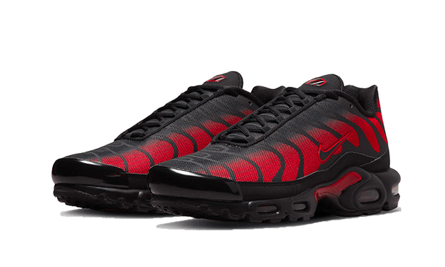 air-max-plus-bred-reflective-ddd5b9-3