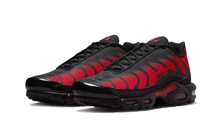 air-max-plus-bred-reflective-ddd5b9-3