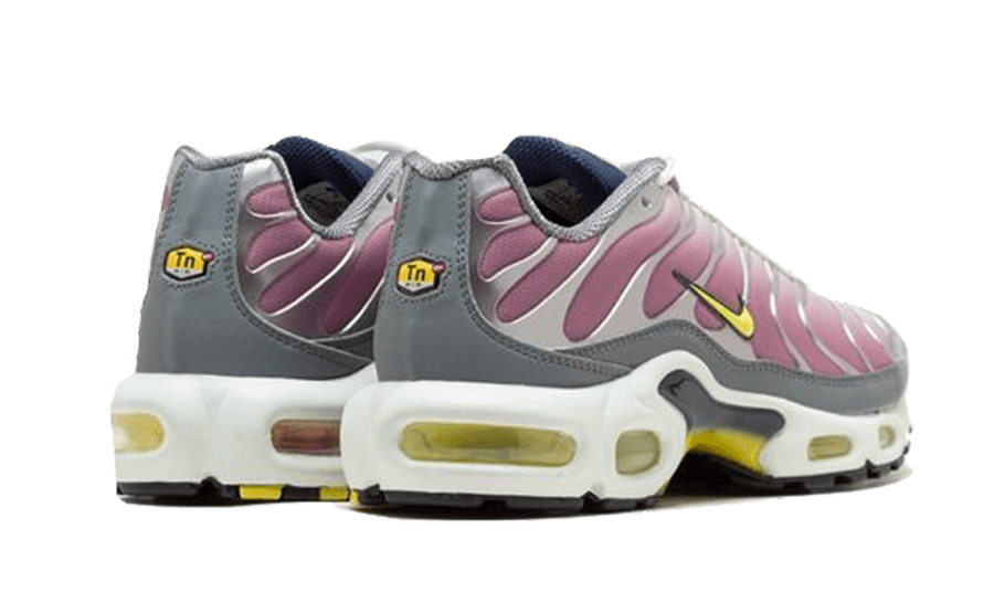 air-max-plus-violet-dust-ddd5b9-3