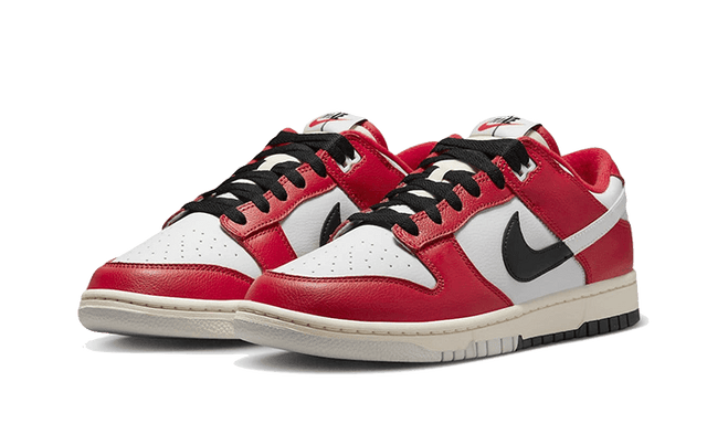 dunk-low-chicago-split-ddd5b9-3