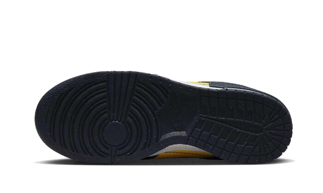 dunk-low-disrupt-2-michigan-ddd5b9-3