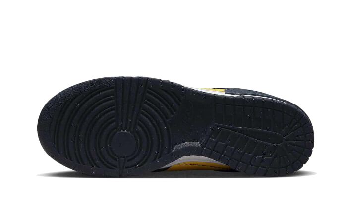 dunk-low-disrupt-2-michigan-ddd5b9-3