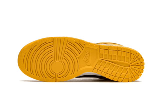 dunk-low-goldenrod-ddd5b9-3