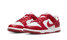 dunk-low-next-nature-gym-red-ddd5b9-3