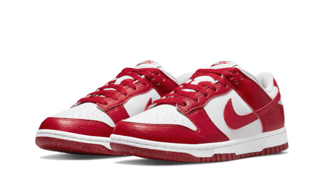 dunk-low-next-nature-gym-red-ddd5b9-3