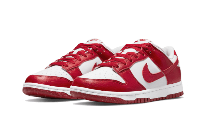 dunk-low-next-nature-gym-red-ddd5b9-3