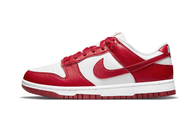 dunk-low-next-nature-gym-red-ddd5b9-3