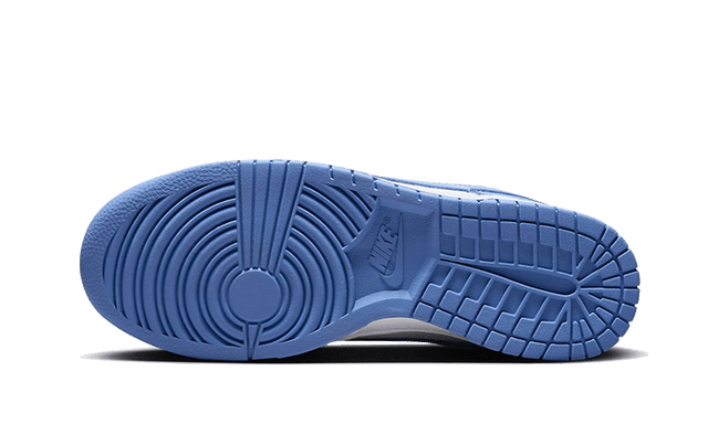 dunk-low-polar-blue-ddd5b9-3
